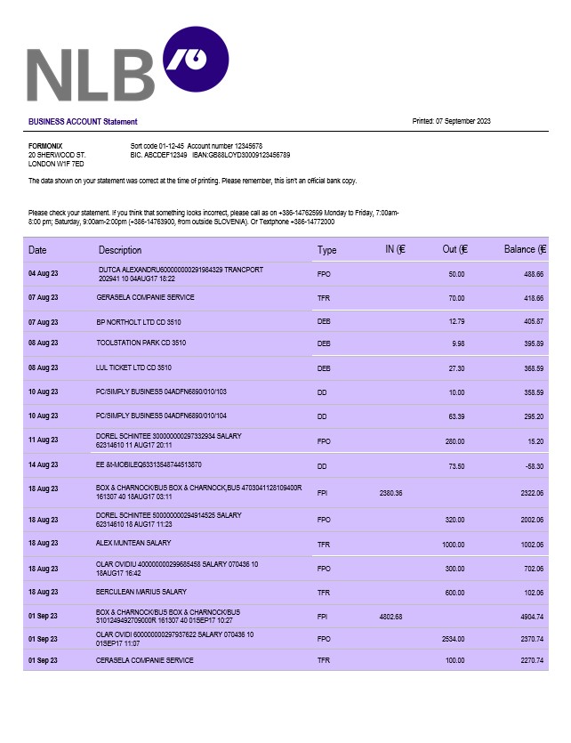 Modèle Word et PDF de relevé de compte d'entreprise de NLB Bank